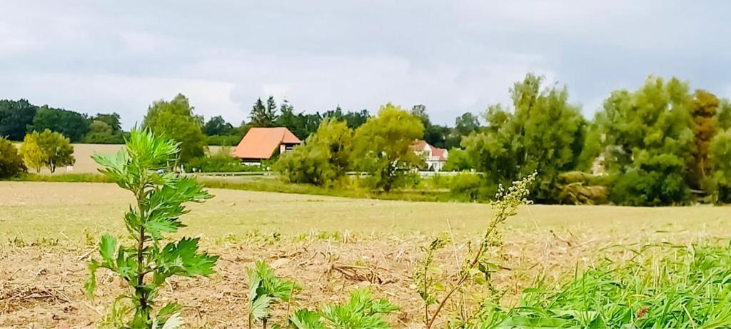 Familienhof Mueritz Apartment Klein Plasten Luaran gambar