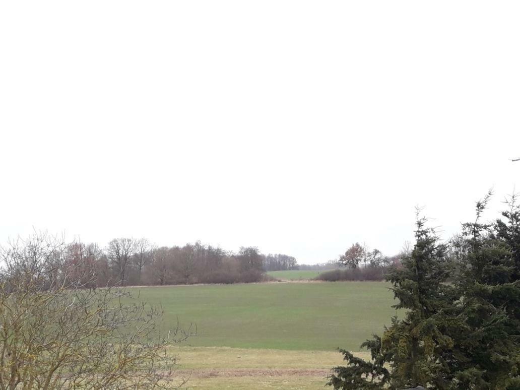 Familienhof Mueritz Apartment Klein Plasten Luaran gambar